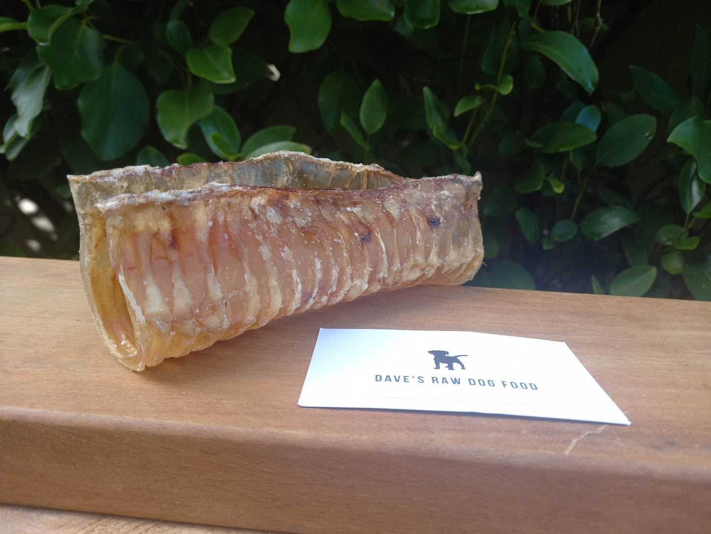 Beef Trachea