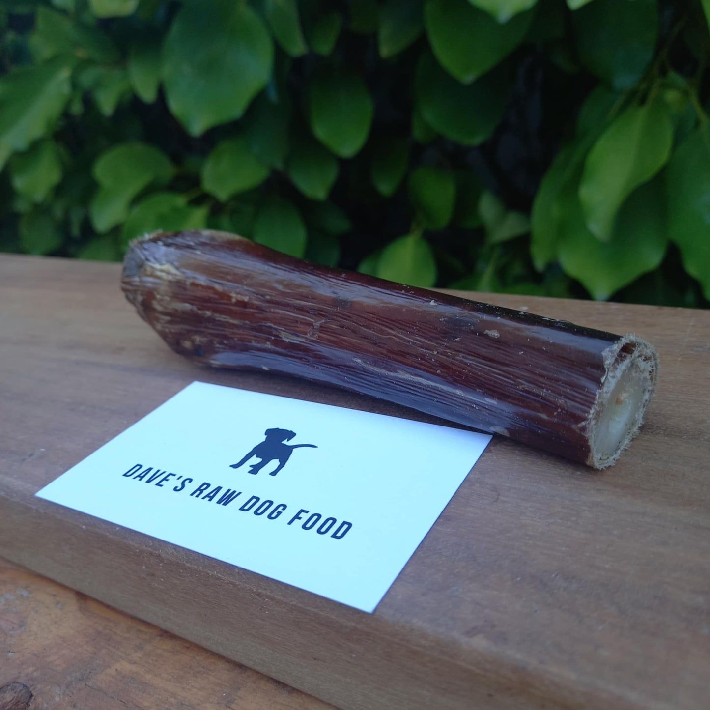 Half Busy Bone