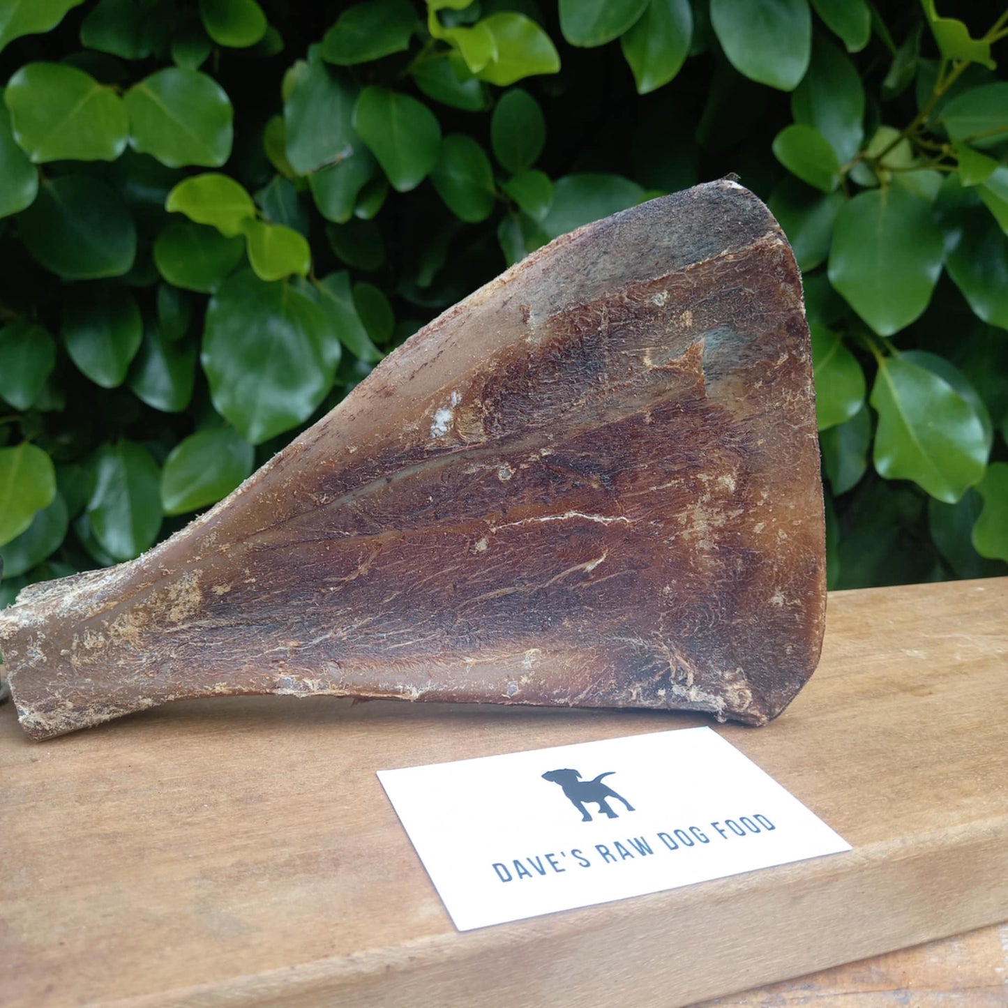 Air Dried Venison Blade Bone