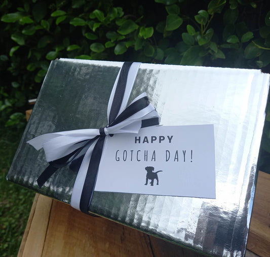 Birthday / Gotcha Day Box