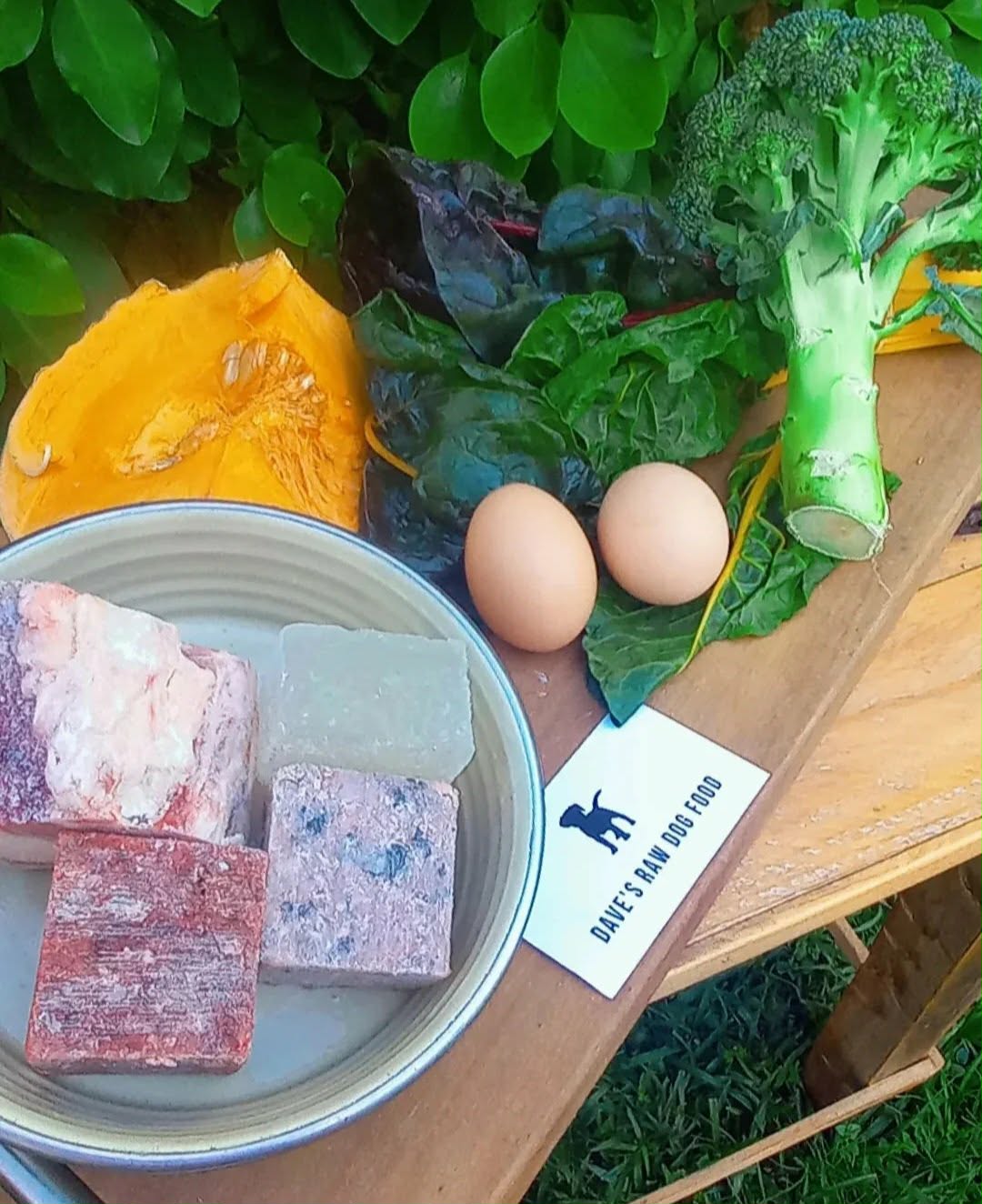 Creating a Bowl Full of Purpose - Fruits and Vegetables Do They Have a Purpose in the Bowl?