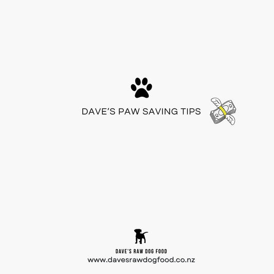 Dave's Seven Paw Saving Tips for Winter