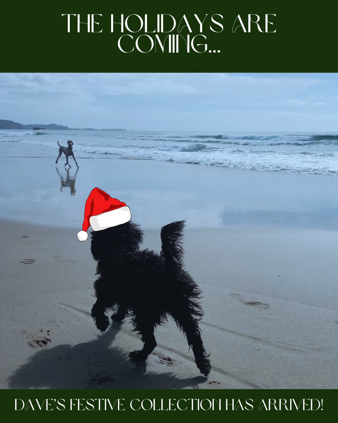Dave's Festive Collection