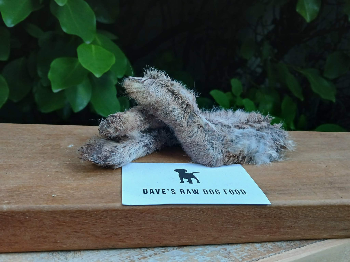 Wild Rabbit Feet - 4 Pack
