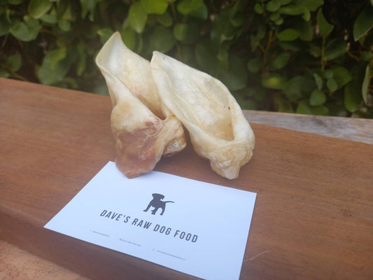 Lamb Ears 4 pack
